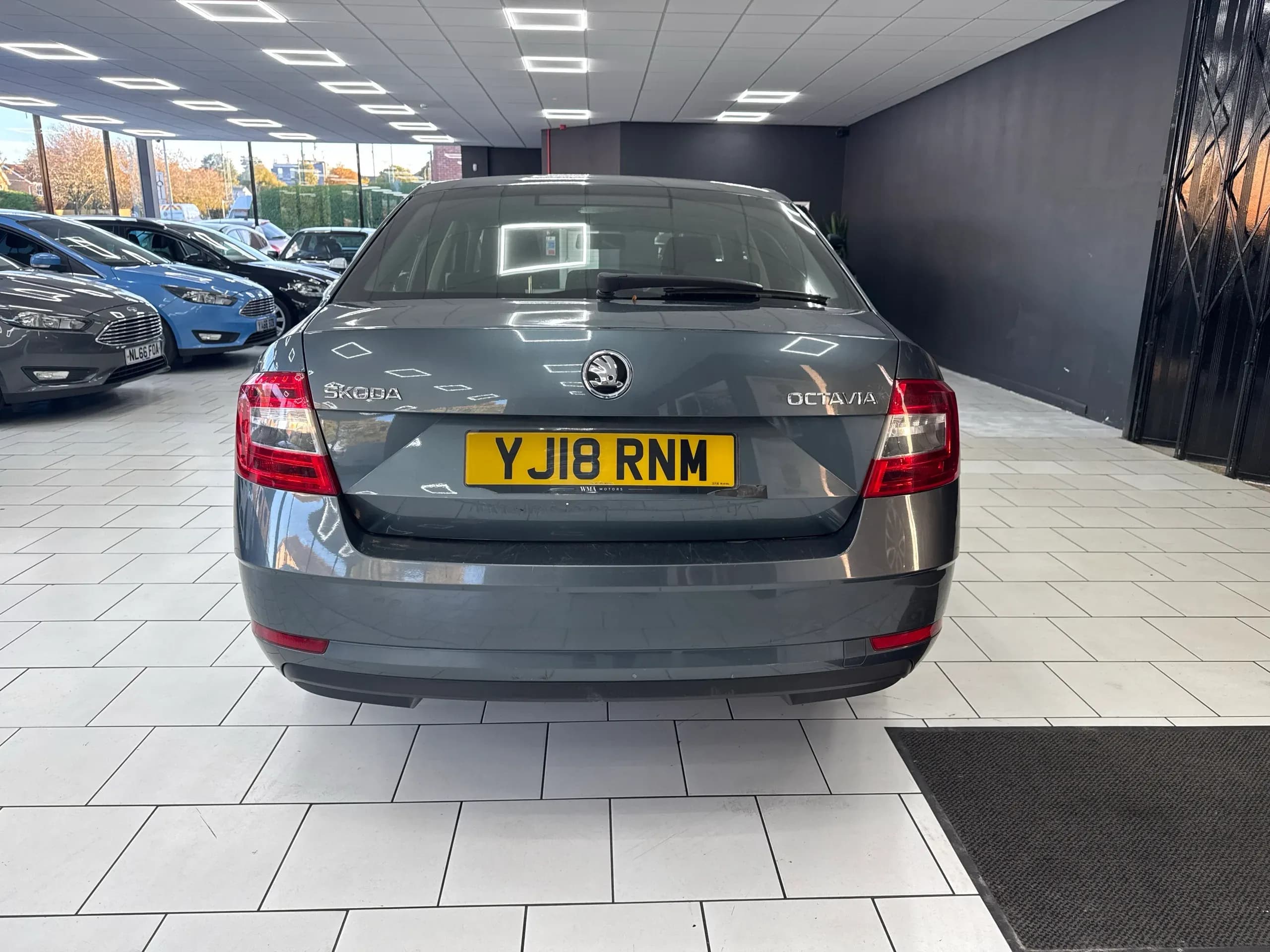 Rear