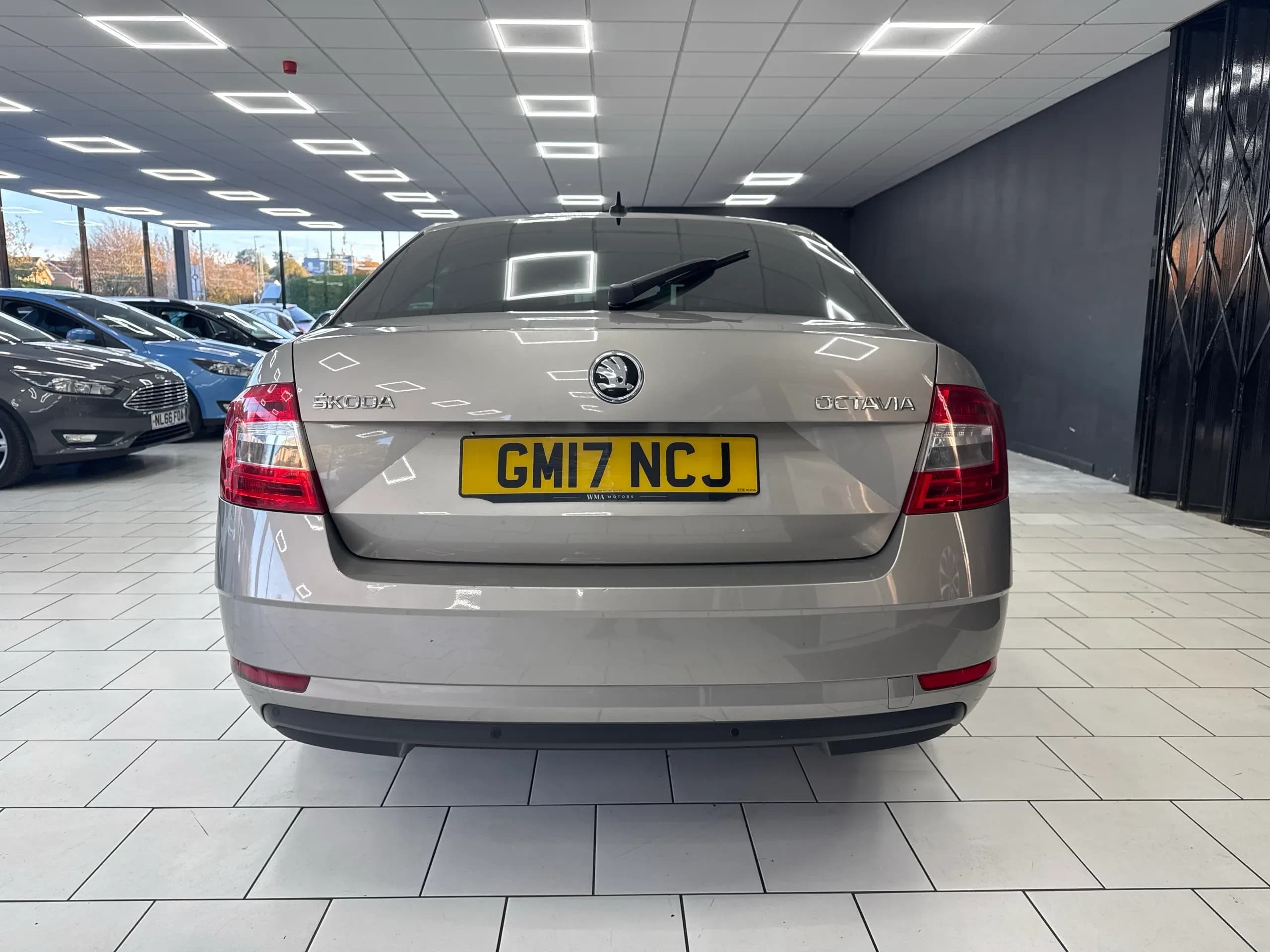 Rear